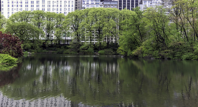 The 'Pond' in Central Park