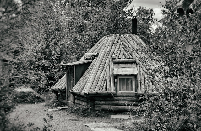 A Forest Hut