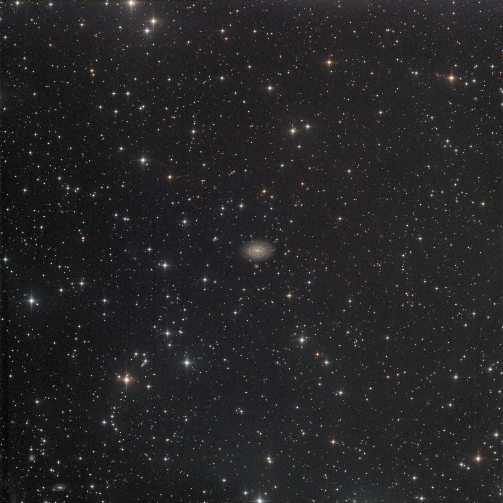 NGC 4499 - LRGB