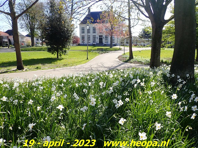 2023-04-19  Vogelenzang-De Zilk (64)