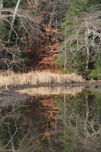 Merkle Wildlife Sanctuary in Prince George's County, Md. | by chesbayprogram