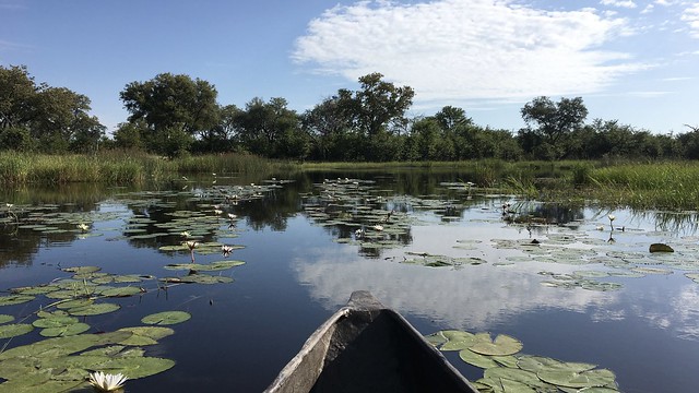 Botswana 2022 - Delta de l'Okavango