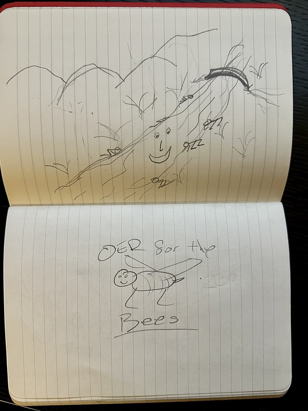 Visual Note-taking at OER23