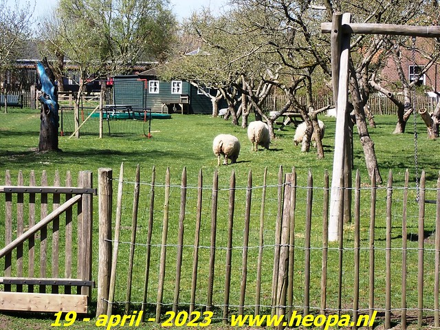 2023-04-19  Vogelenzang-De Zilk (95)