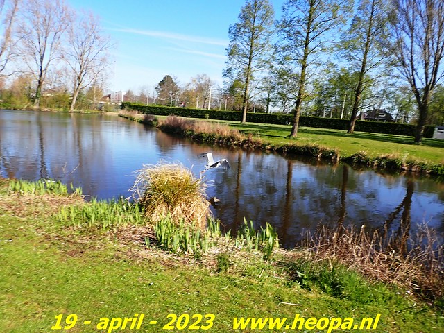 2023-04-19  Vogelenzang-De Zilk (77)