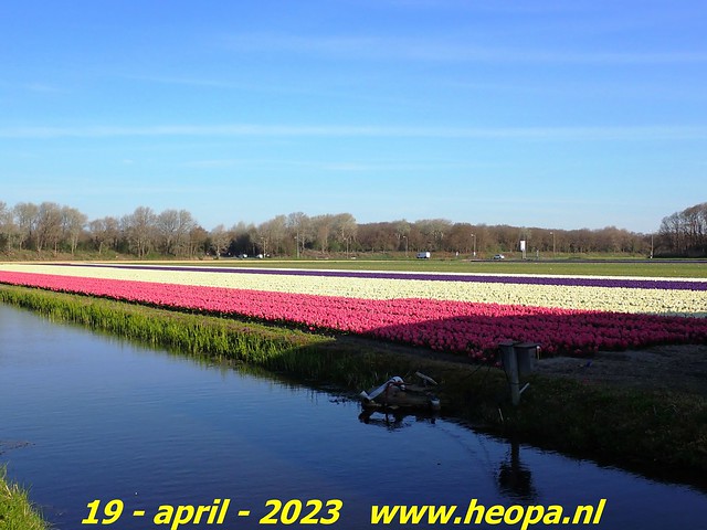 2023-04-19  Vogelenzang-De Zilk (19)