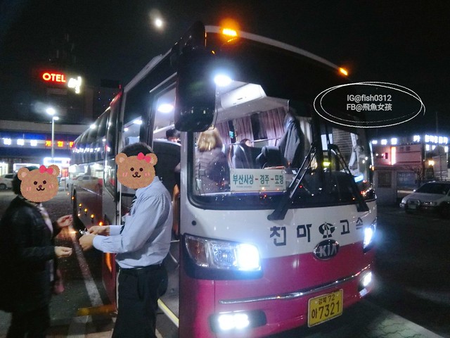 韓國慶洲。怎麼從慶洲搭巴士回釜山 交通懶人包 釜山慶州自由行  慶州一日遊