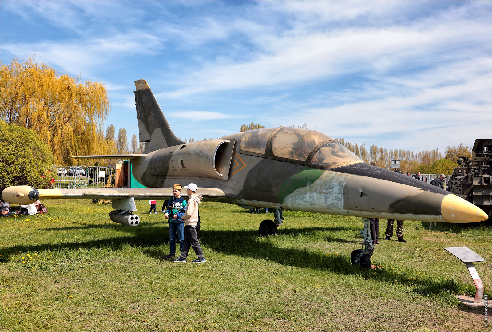 Учебно-боевой самолёт L-39 Альбатрос, Тольятти, Россия