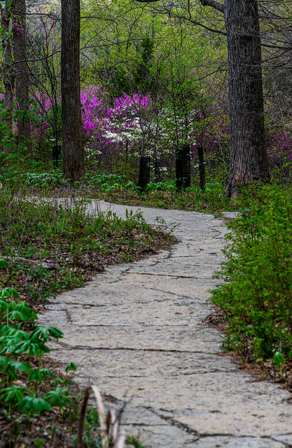 Pathway to Springtime