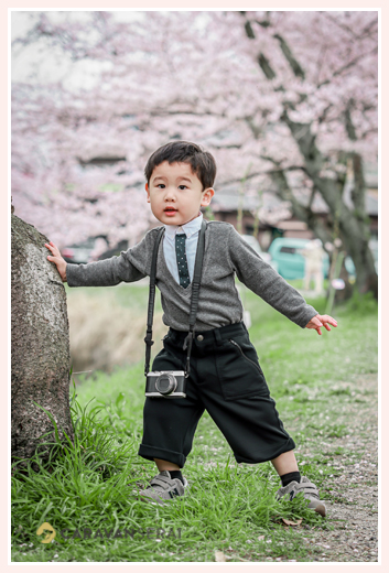 3歳の男の子　満開の桜　カメラ小僧