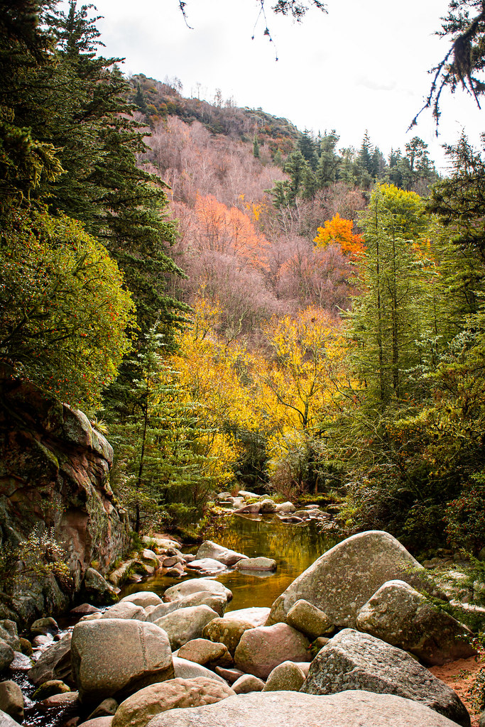 Otoño | Máximo Matassa | Flickr