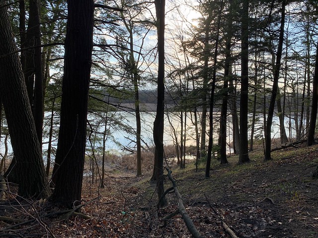 Beautiful sunset over Duffins creek marsh with view through the trees in the wood on Duffins trail in Discovery bay , Martin’s photographs , Ajax , Ontario , Canada , April 16. 2023