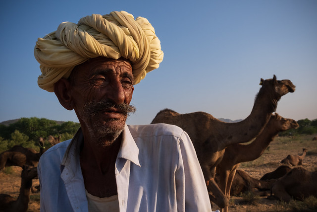 India, Rabari camel herder