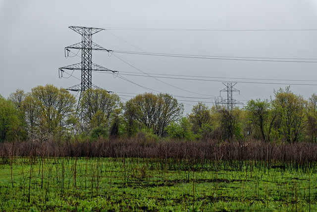 Transmission Towers and Lines Along the Southern Edge of Indiana Dunes National Park