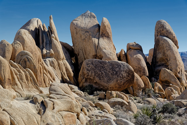 Rock Formation with a Variety of Shapes for the Mind to Imagine (Joshua Tree National Park)