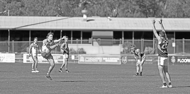 Shepparton Swans versus the Mansfield Eagles.