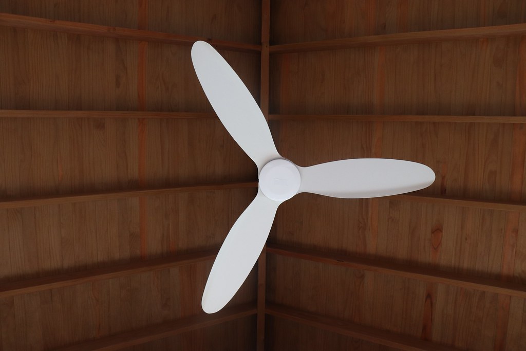 Flickr Fan to have fan :) | @lexandros | Flickr