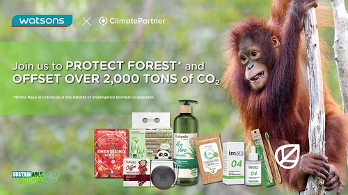 paint’s Forrest Protection initiatives in Rimba Raya, Indonesia.