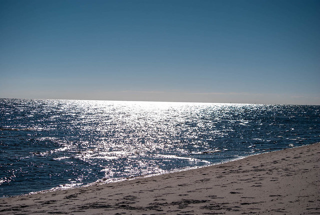Gulf Sea and Sand