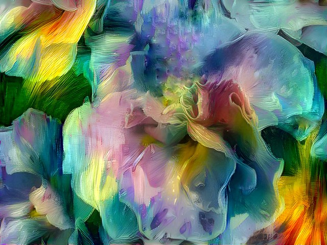 Multicolored Double Primrose