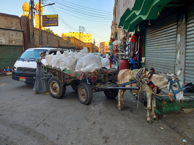 Donkey Cart - Luxor, Egypt