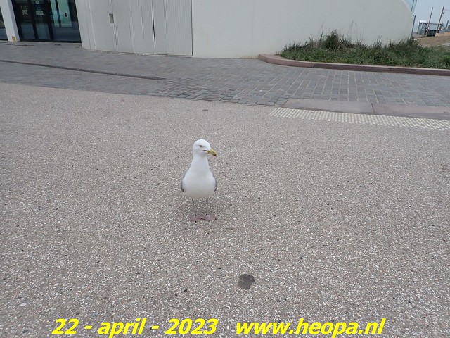 2023-04-22       Den Haag  (44)