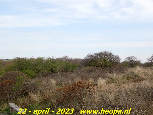 2023-04-22       Den Haag  (17)