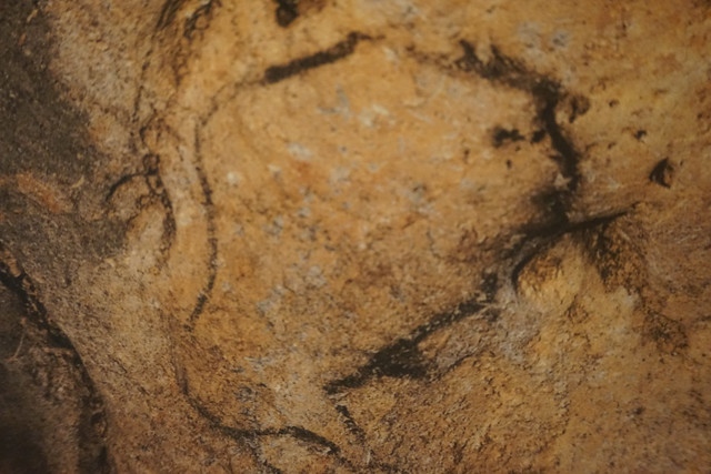 Grotte d'Ekain, Cestona : Bison