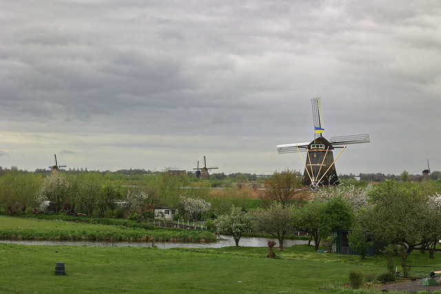 Kinderdijk windmills