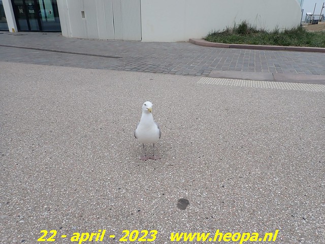 2023-04-22       Den Haag  (43)
