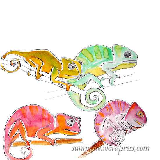 chameleon race
