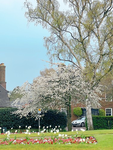 Lichfield City | by cattan2011
