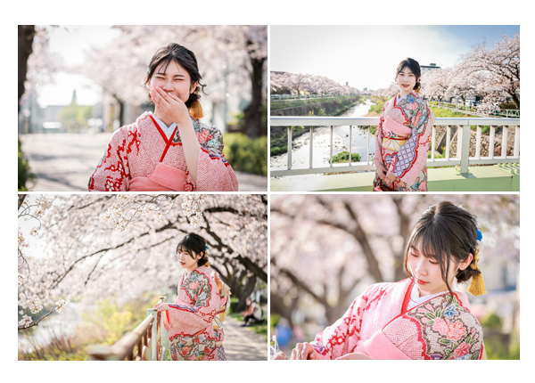 名古屋市で　20歳記念の成人式のロケーション撮影　振袖を着て桜とともに
