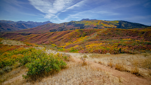 cache colorful deercreek hill landscape mountain orange uinta valley wasatch adventure alpine autumn background beautiful blue brown cascade clouds drive fall flora foliage forest gold gorgeous grass green hike leaves mountains national natural nature outdoors overlook peak red rockies rocky scenic sky striking stunning trail tree utah white woods yellow pwl