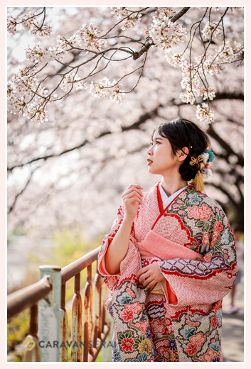 20歳記念の成人式のロケーション撮影　桜の花咲く春　名古屋市