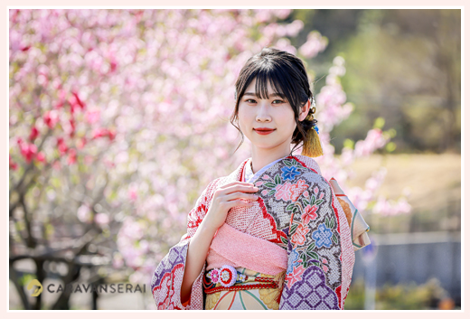 桜の季節の成人式のロケーション撮影　尾張旭市の公園