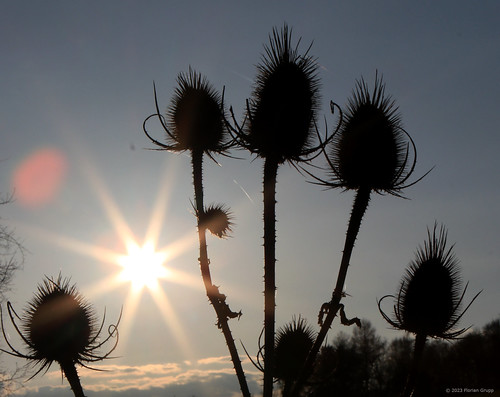 Gotthards by florian_grupp, europe europa germany deutschland hesse hessen rhön gotthards nüsttal sunset