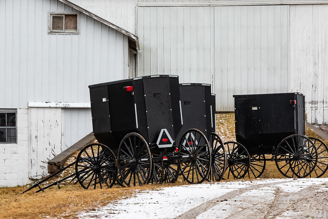 Amish Community in Central Michigan