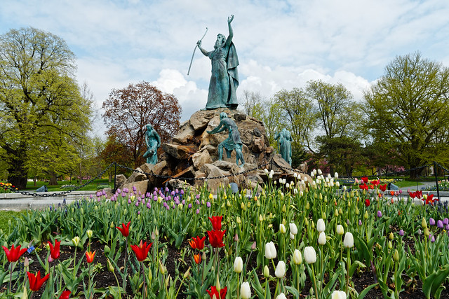 Springtime Tulips/King Memorial Fountain