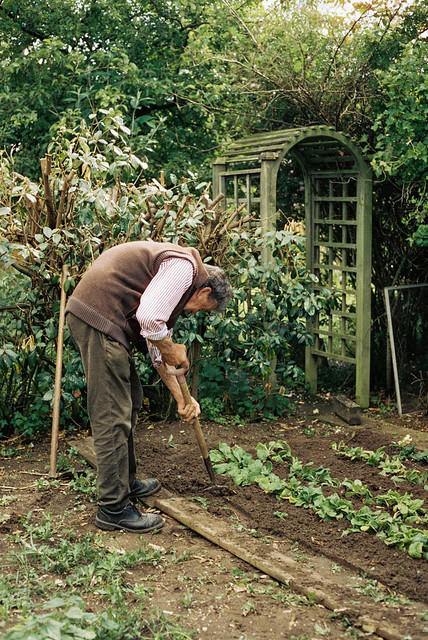 Grandad Working in the Garden