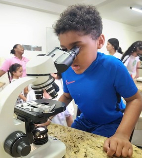 1 ano A- Laboratório e conhecendo o microscópio.