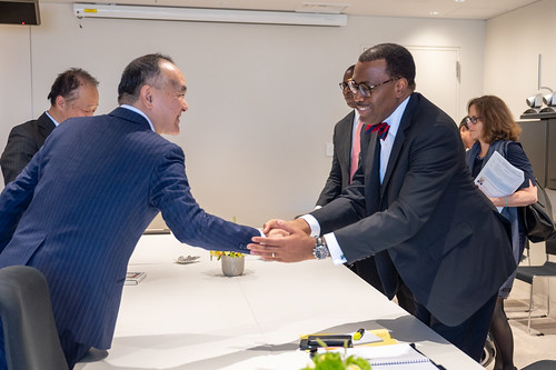 AfDB President's visit to Tokyo: Bilateral Meeting with AAIC