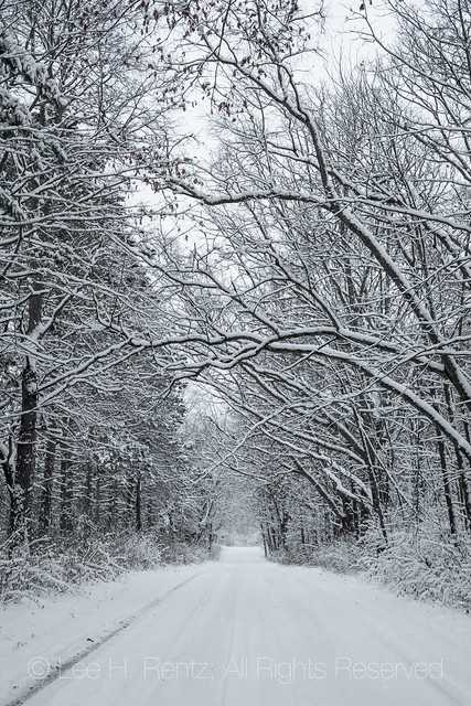 Snowy Road in Central Michigan
