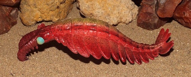Dinocaridid (†Anomalocaris canadensis) CollectA replica