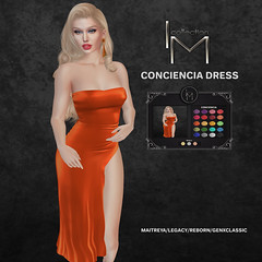 I.M.Collection Conciencia Dress