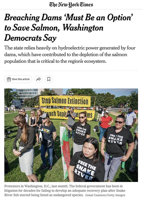 NYTimes-Capitol-Rally