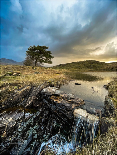 IPhone Kelly | by Mark Lindstrom