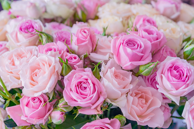 A bouquet of pink and white roses. Floral pattern.