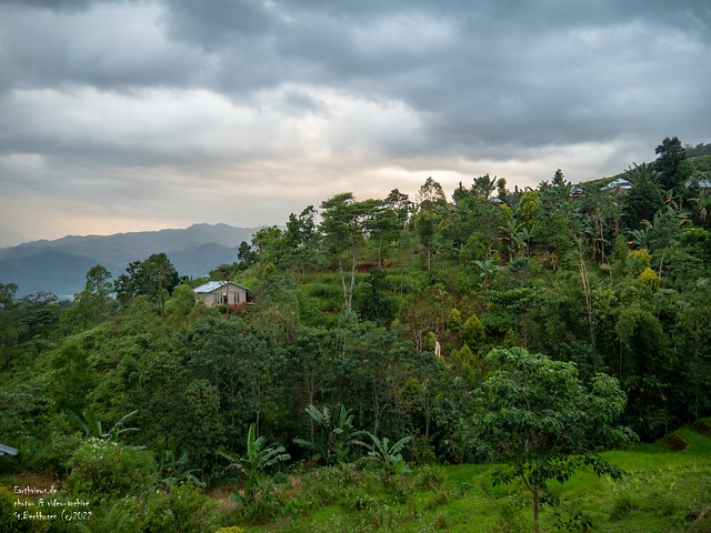 Living in the jungle mountains of Flores, Indonesia