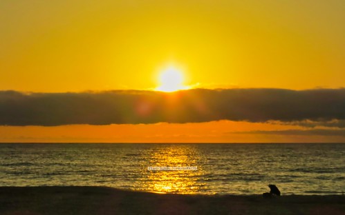 sunrise sea ocean landscape morning silhouette wilmingtonnc carolinabeach canonpowershotsx50hs luminarneo goldenhour summer